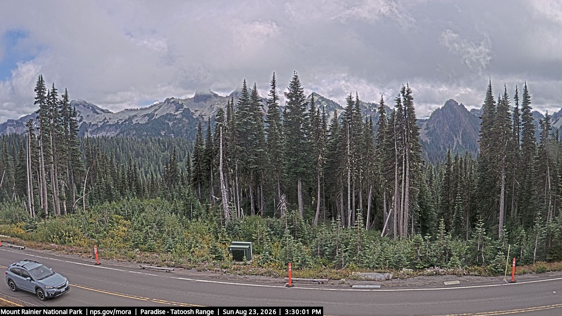 Paradise: Tatoosh Range