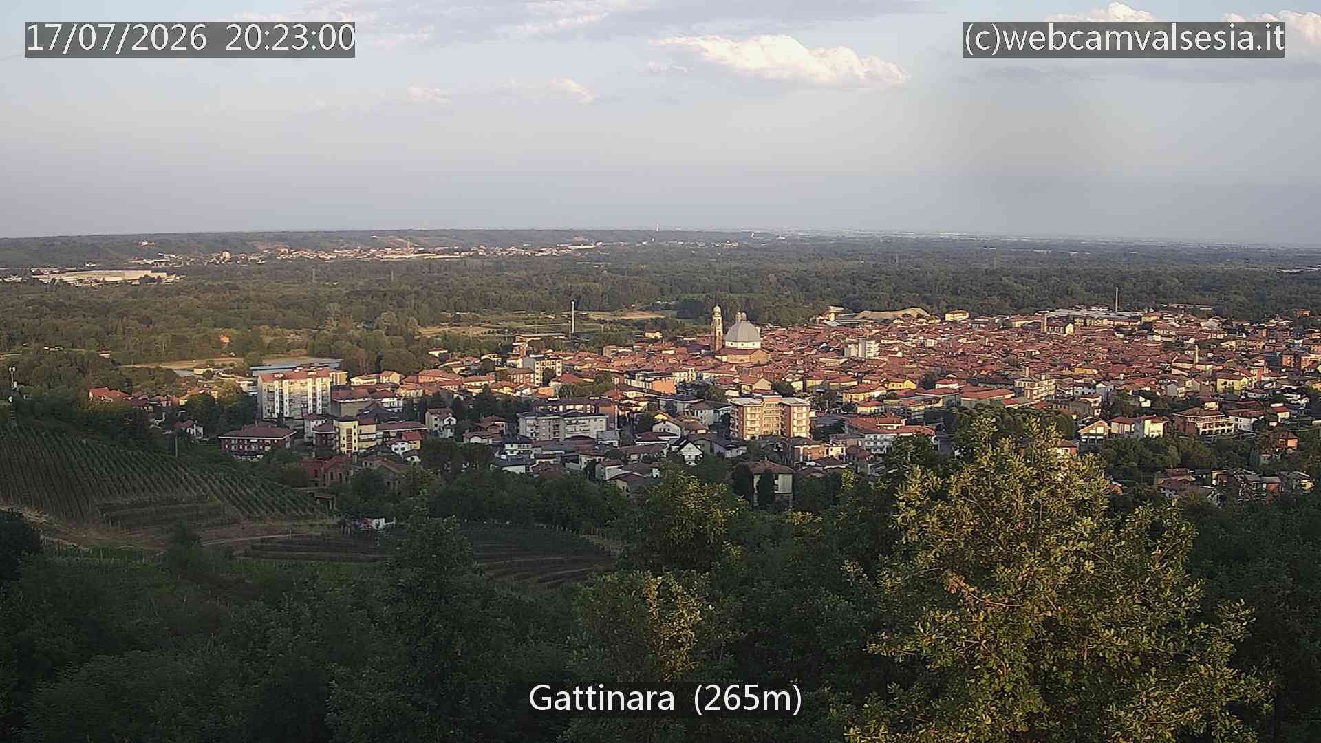 Gattinara