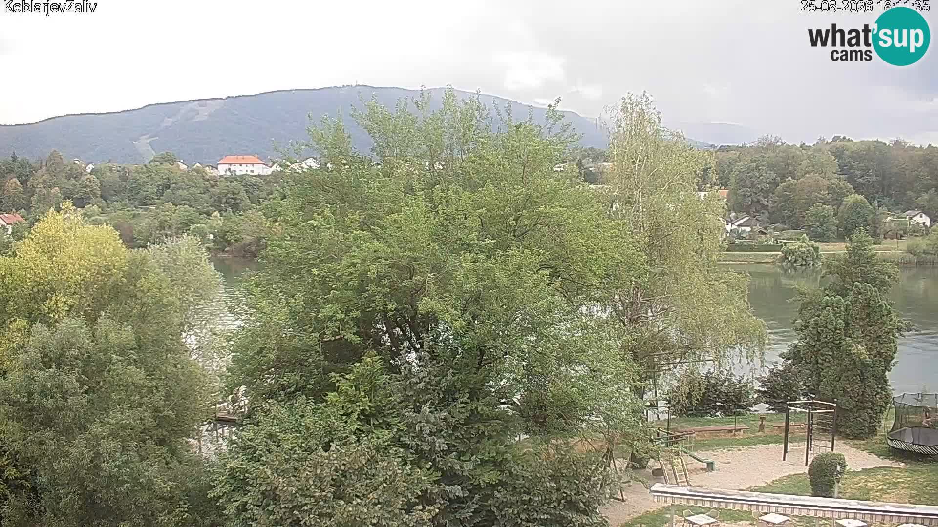 Webcam Kamnica: Koblarjev Zaliv