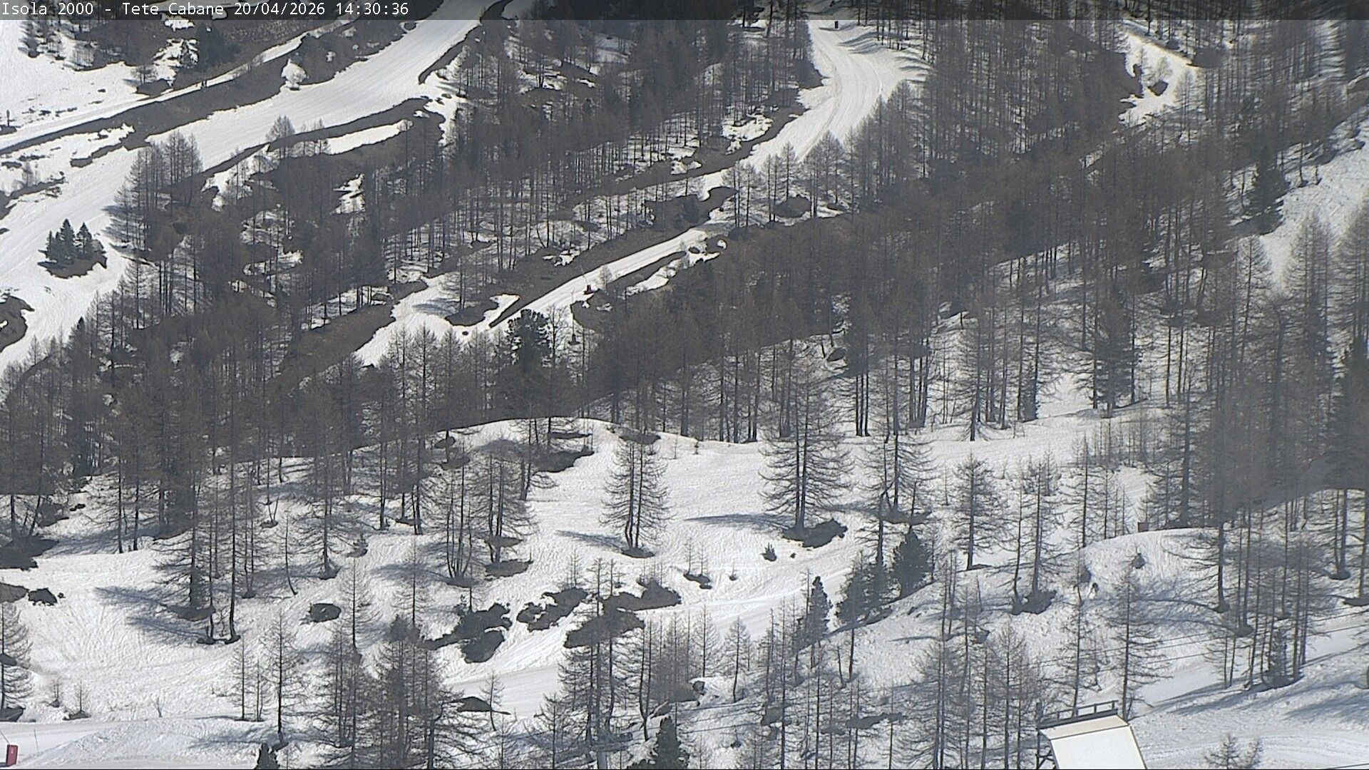 Isola: Mt. Sistron (summit from)