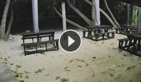Webcam Anse Parnel (Mahé): Livestream Surfers Beach Restaurant