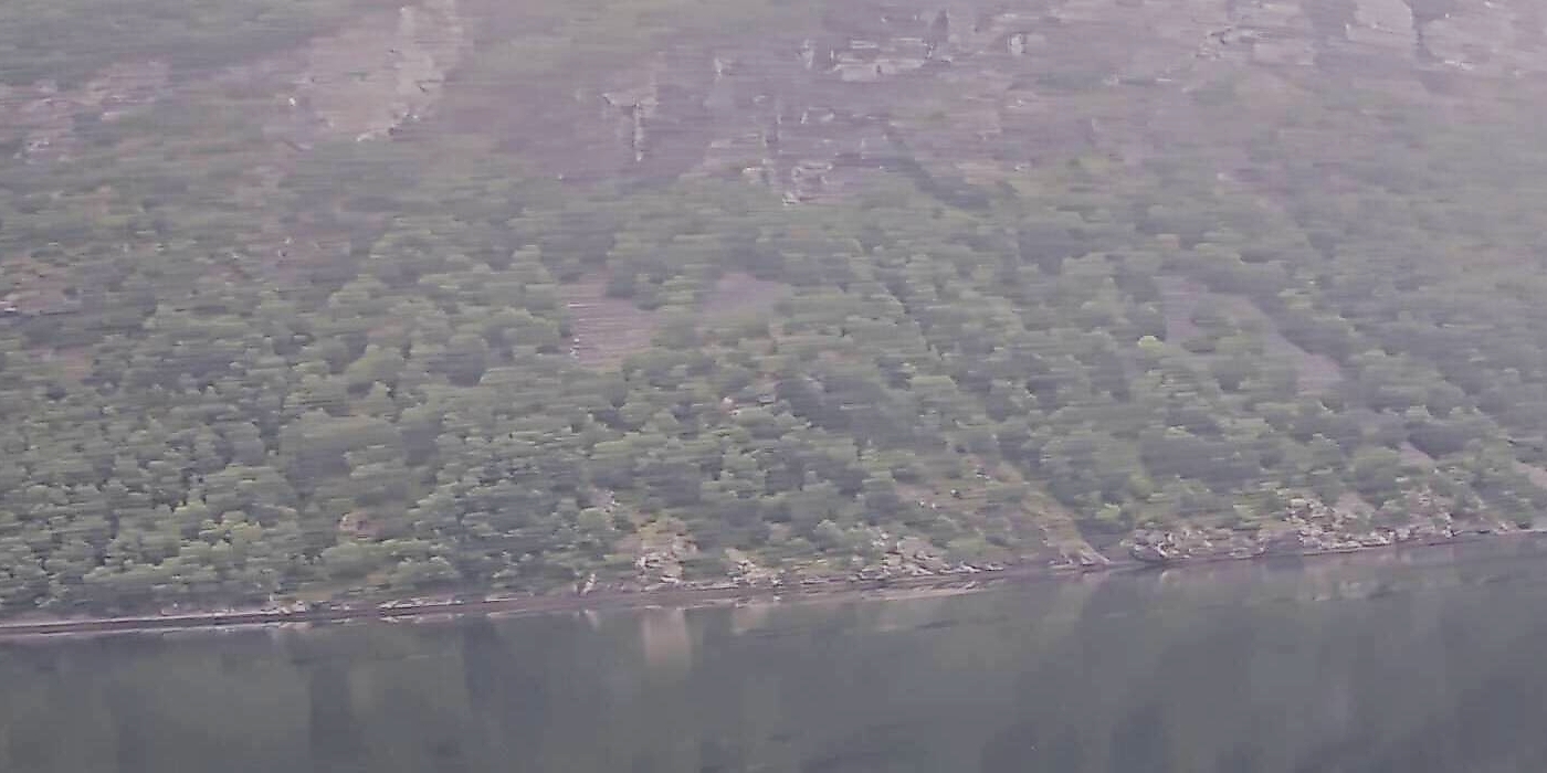 Webcam AIDAprima: Captain's View