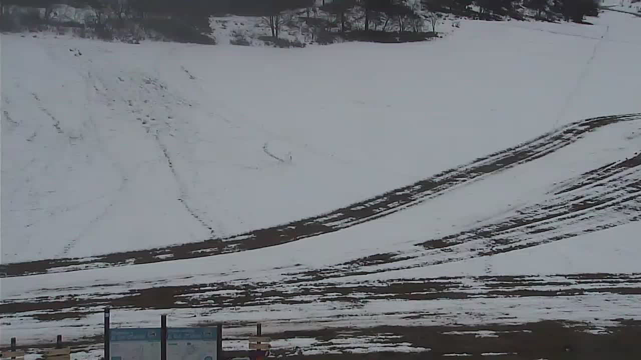 Webcam Thorame-Haute: La Colle Saint-Michel - Pistes
