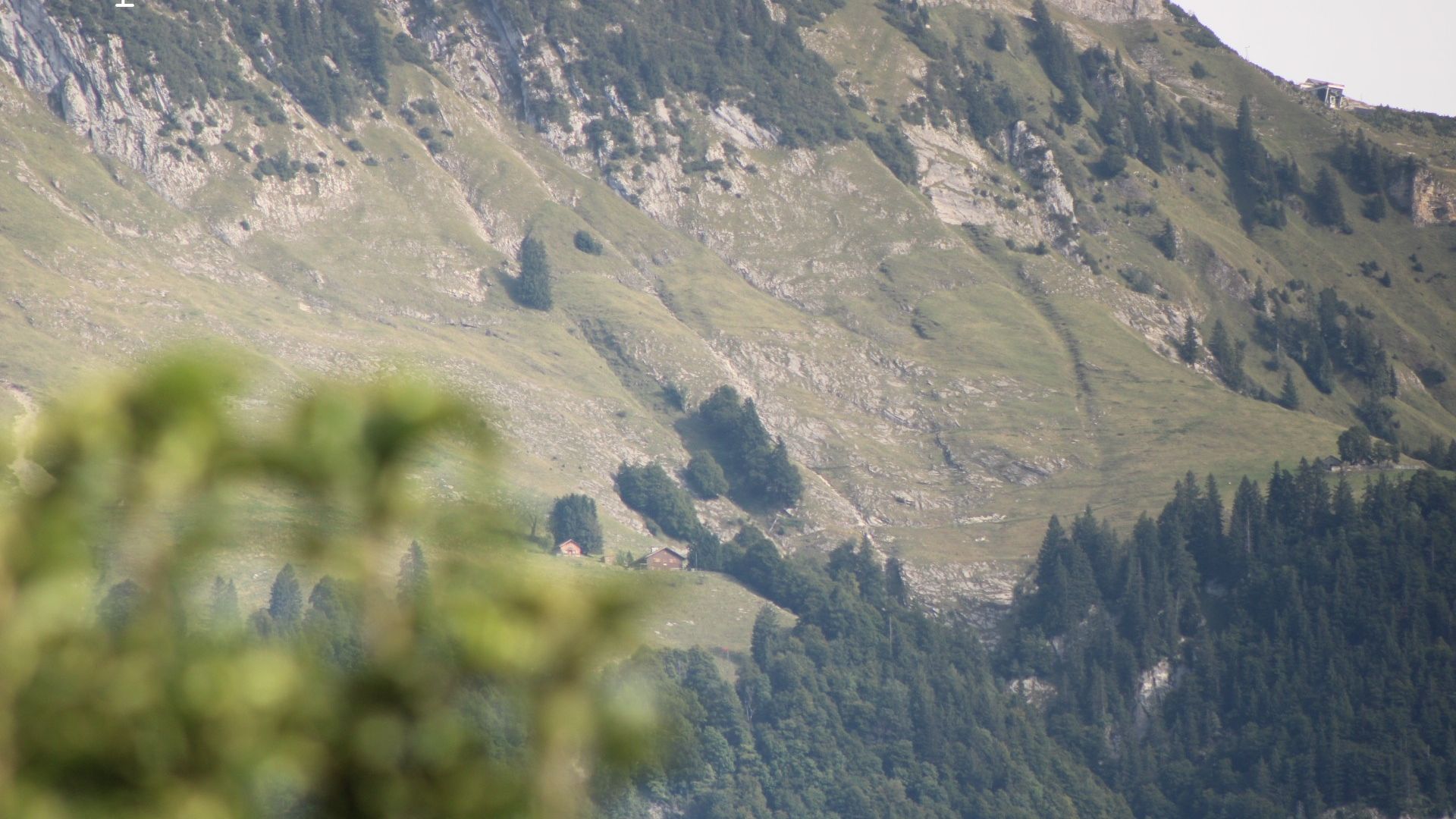 Sennwald: Alpeelcam