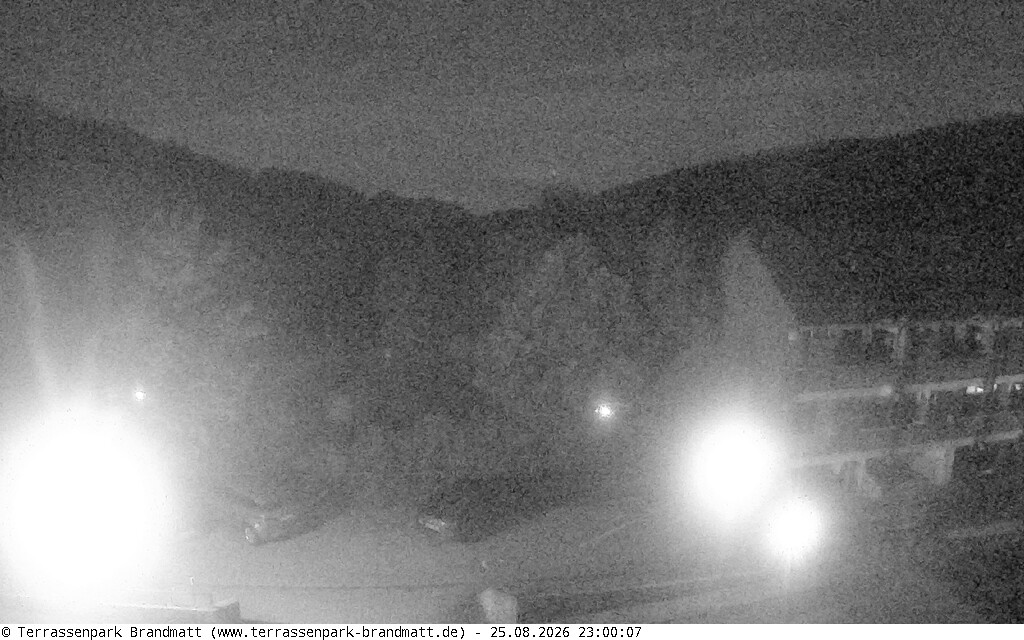 Webcam Brandmatt: Rhine Valley View