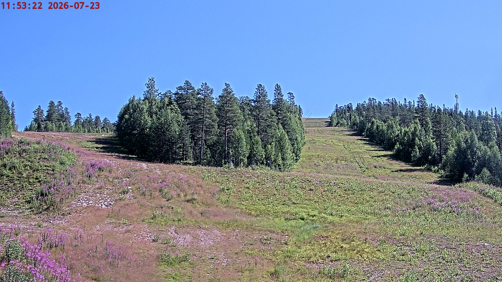 Ljordalen