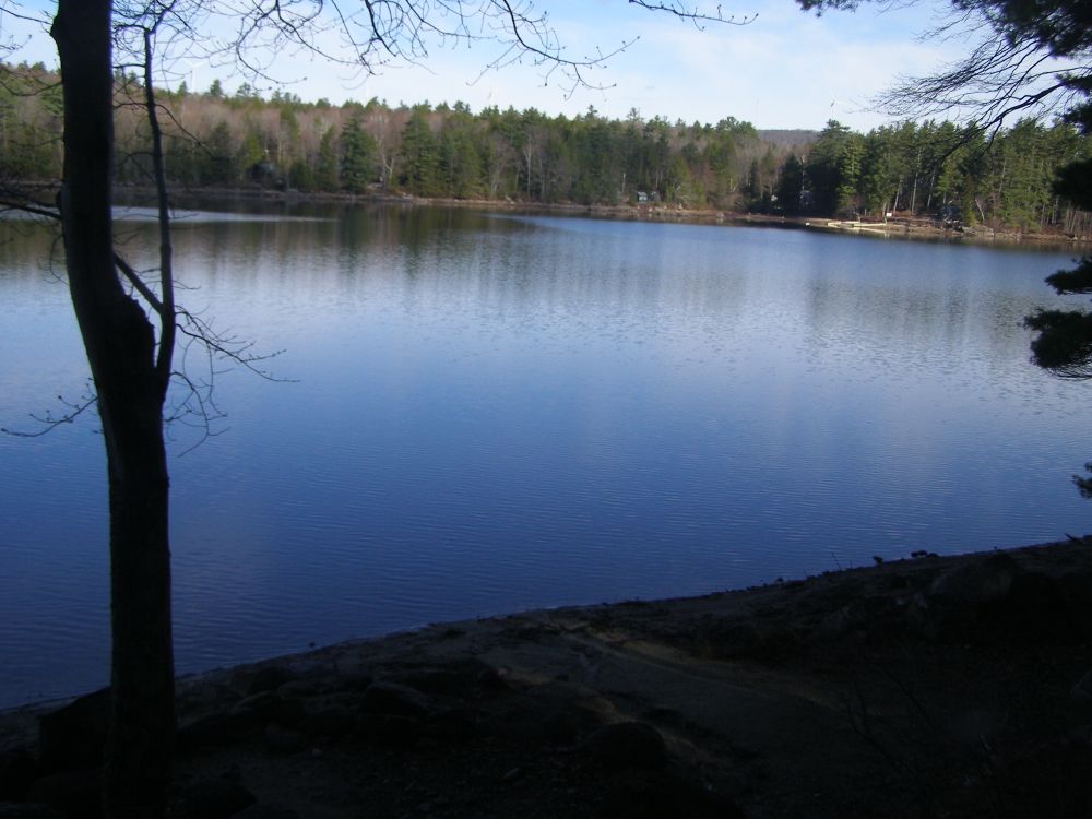 Antrim › West: Gregg Lake