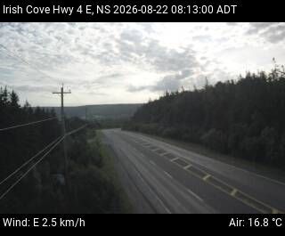 Mount Auburn: Irish Cove Cam
