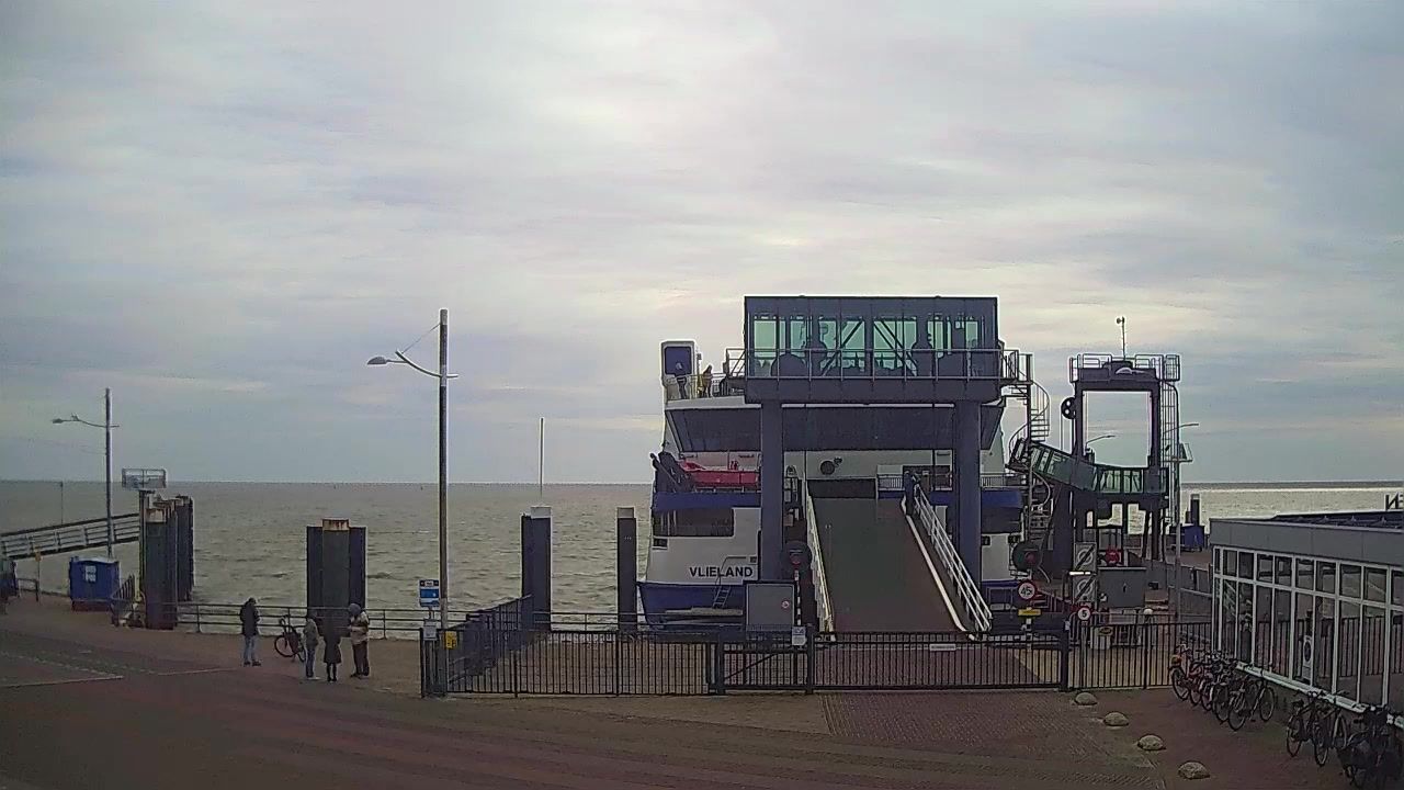 Vlieland: Harbour