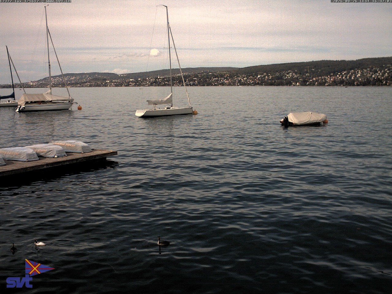 Webcam Thalwil: View towards Küsnacht