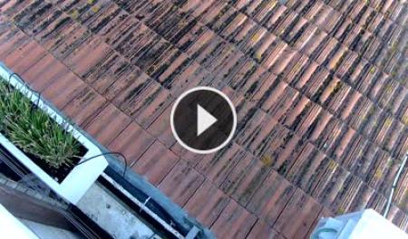 Webcam Viareggio: Terrazza della Repubblica