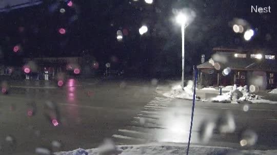 Burt Township › East