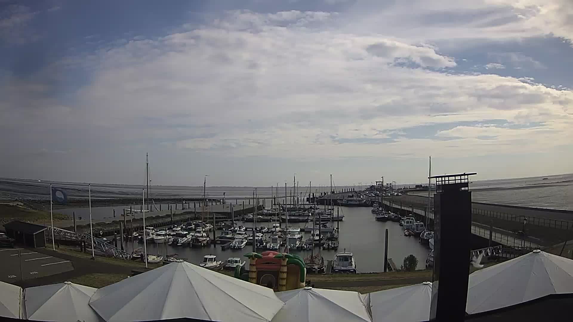 Ameland › South: Waddenhaven Ameland