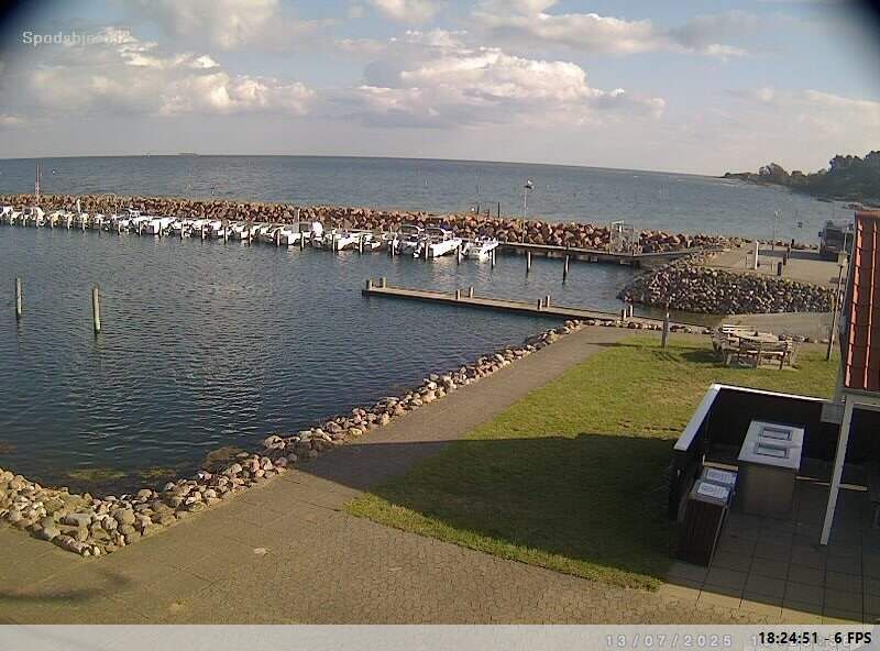 Spodsbjerg: havn ost