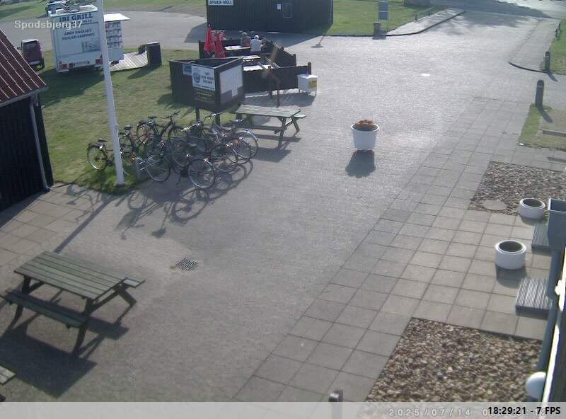 Spodsbjerg: Spodsbjerg Havn