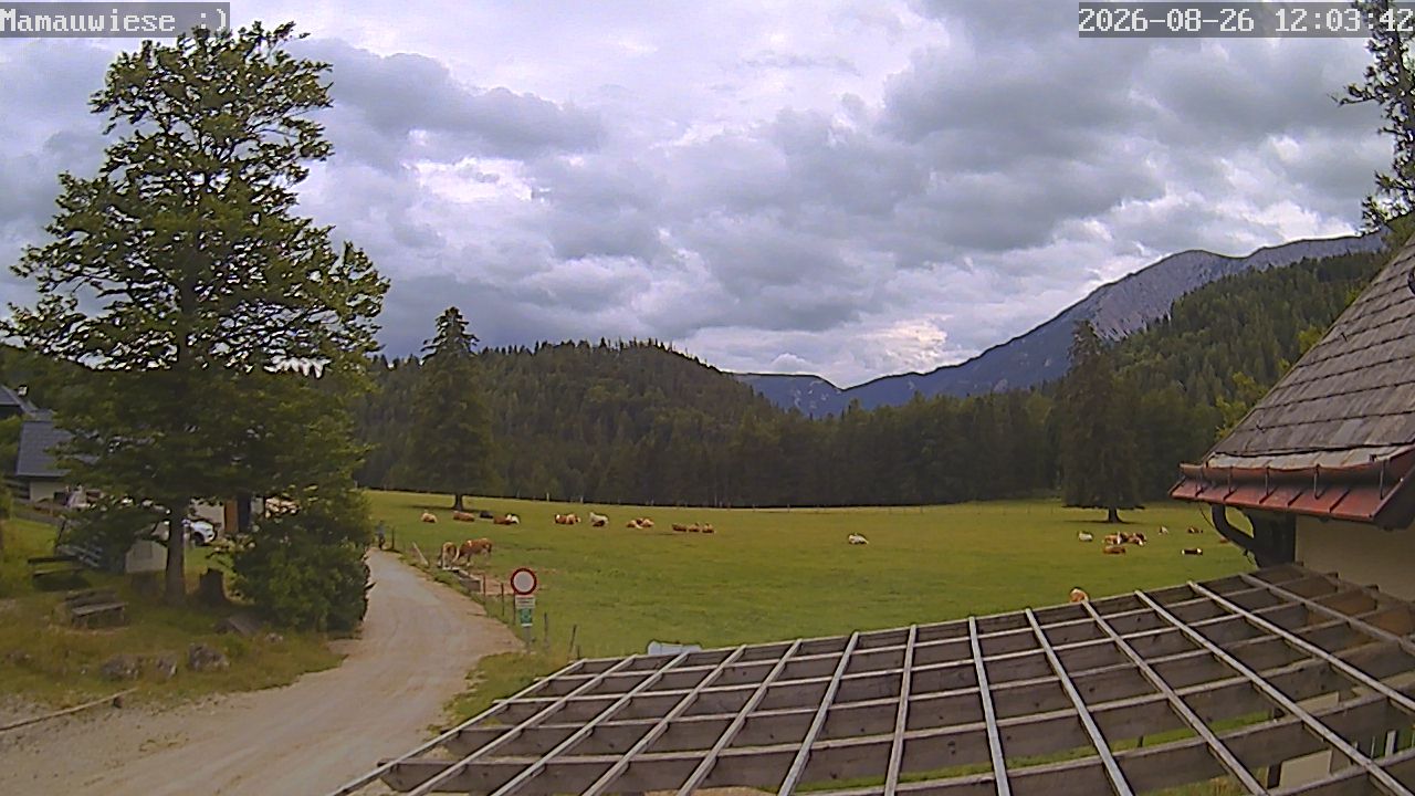 Gemeinde Puchberg am Schneeberg: Berggasthof Mamauwiese
