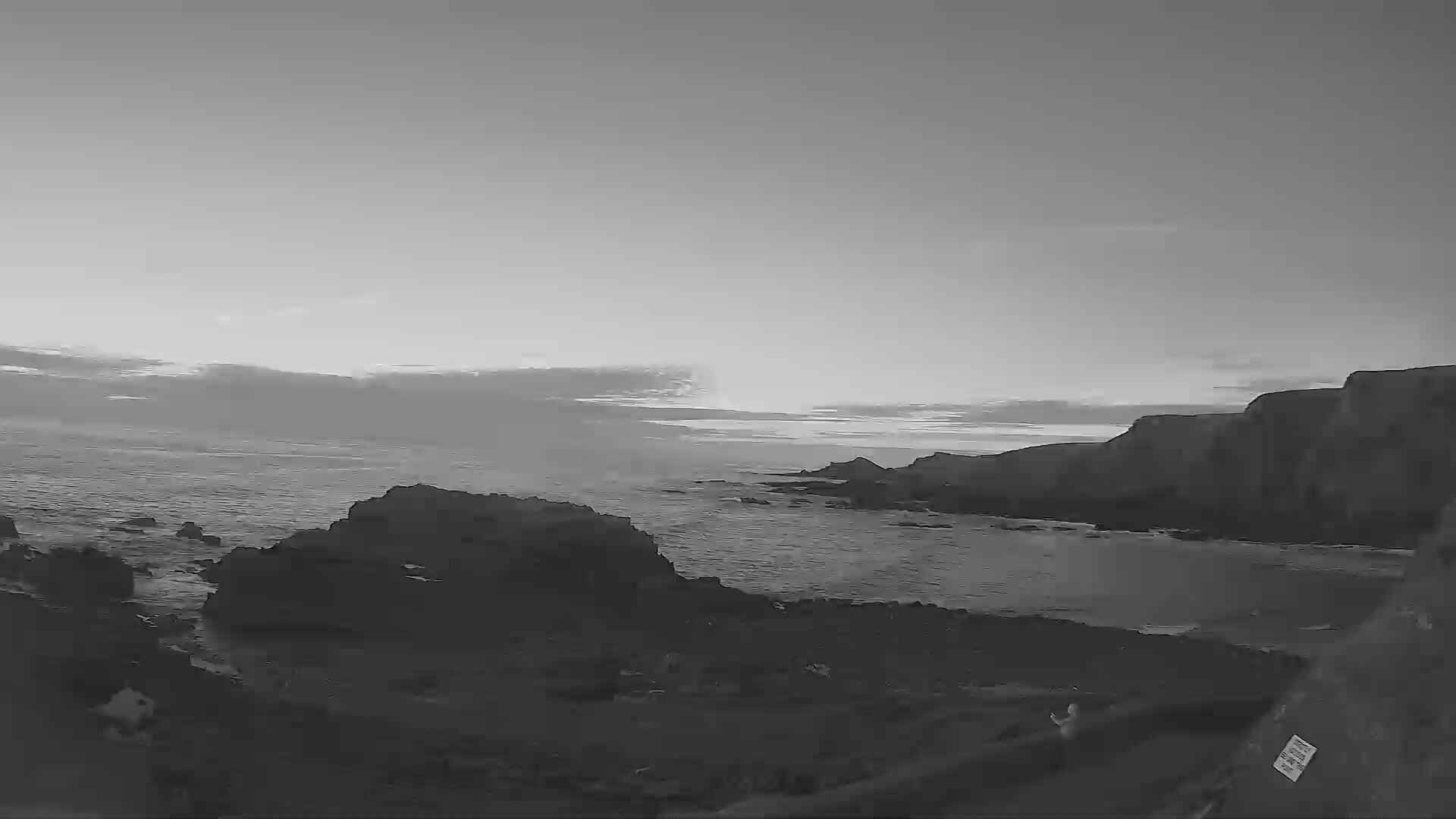 Torridge