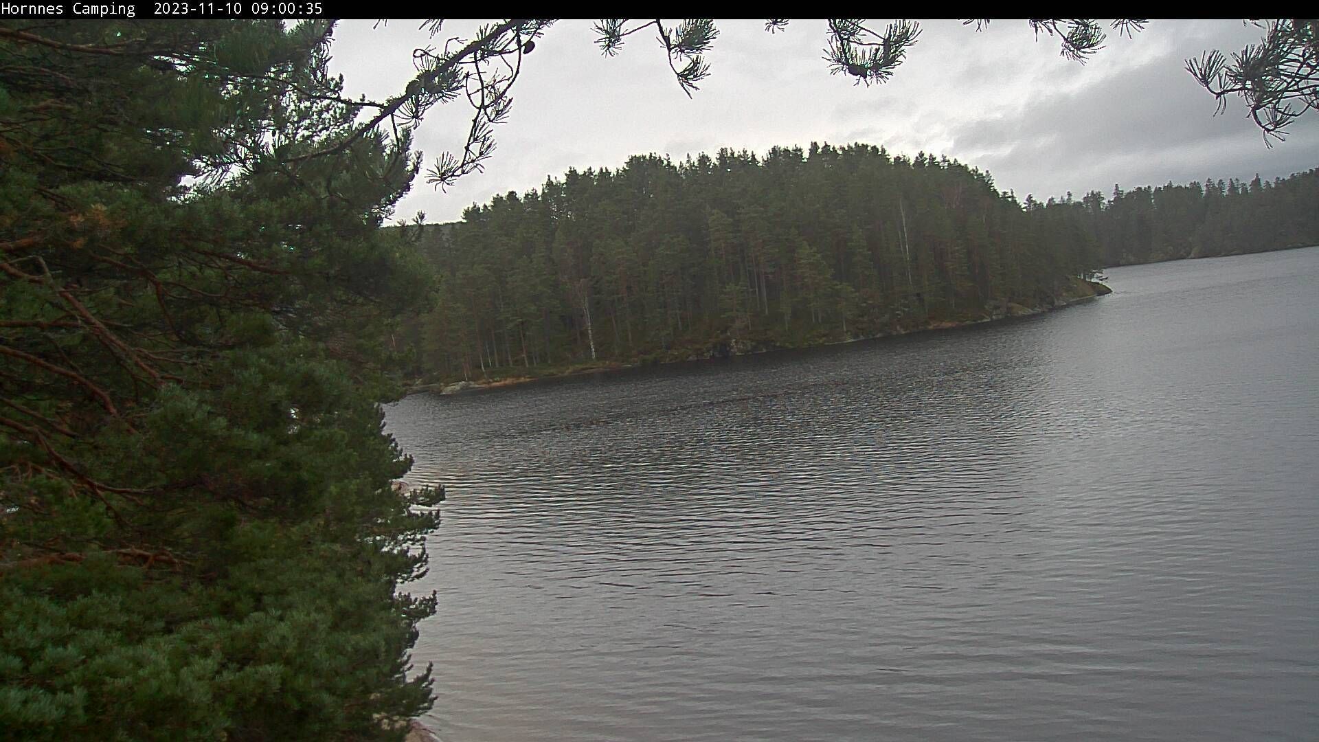 Hornnes: Camping 2