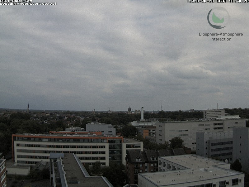 Webcam Münster: View over Münster