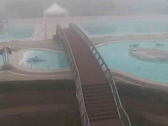 Webcam Punta Sabbioni: Camping Marina di Venezia