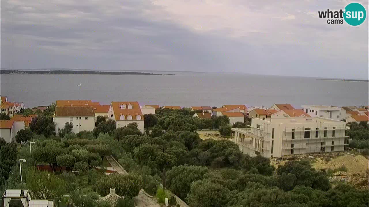 Mandre (Pag) - Webcam Galore