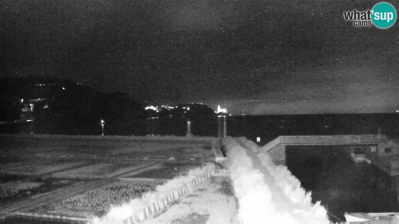 Webcam Piran: Nature Park Strunjan
