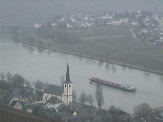 Webcam Piesport: View onto Piesport
