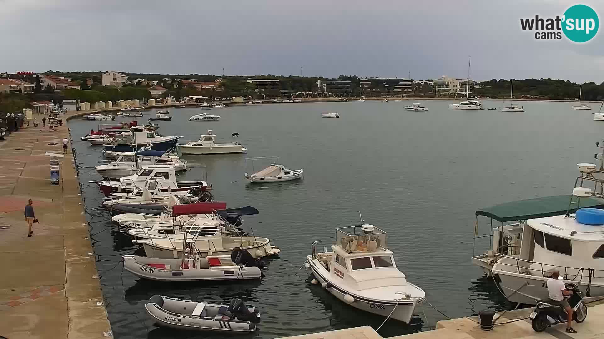Webcam Novalja (Pag): Novalja Seaside Promenade