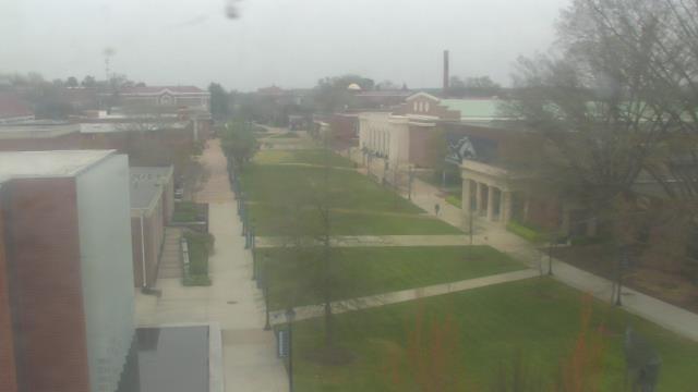 Webcam Farmville, Virginia: Longwood University
