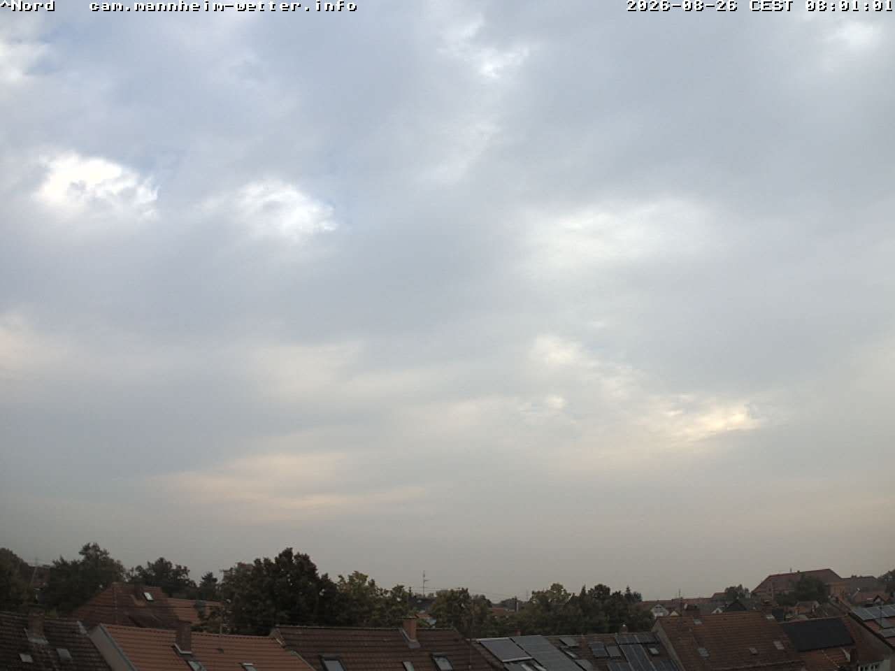 Mannheim