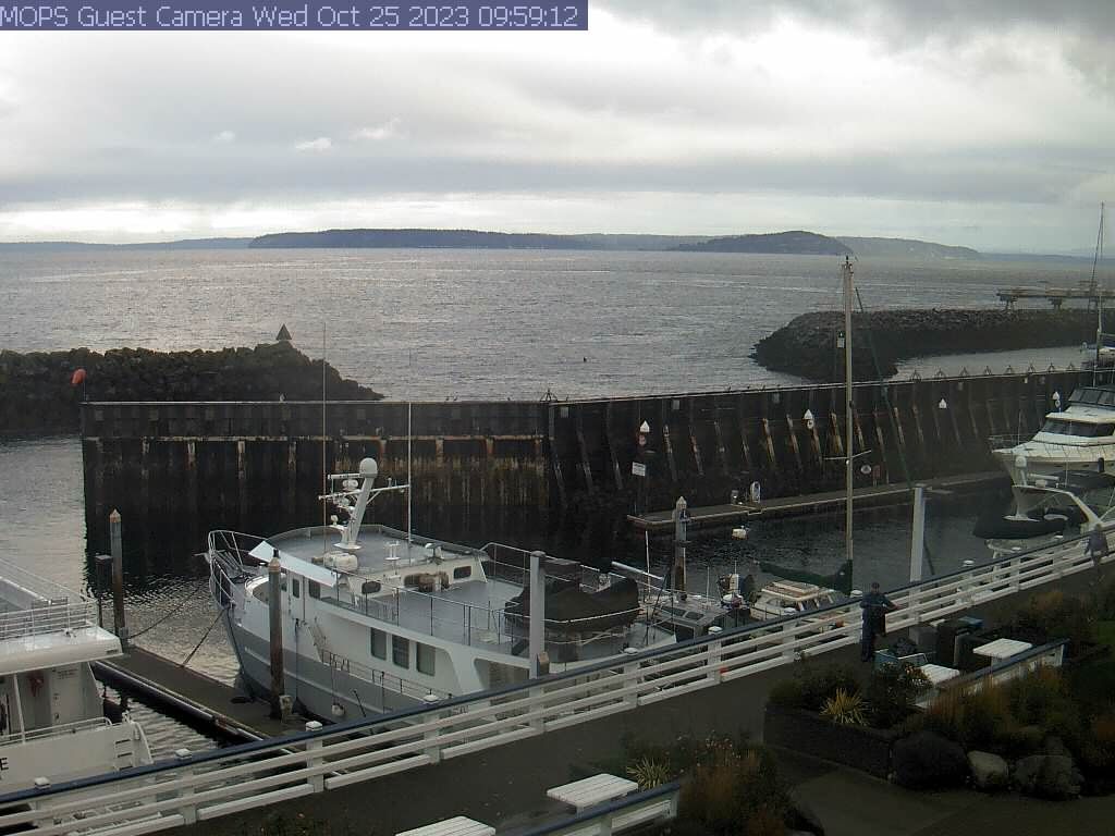 Edmonds › North-West