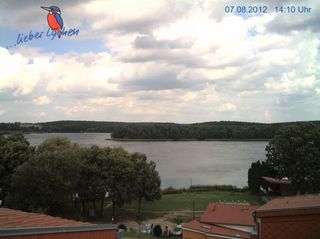 Webcam Lychen: Webcam Lychen