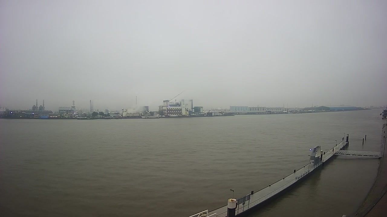 Vlaardingen › West