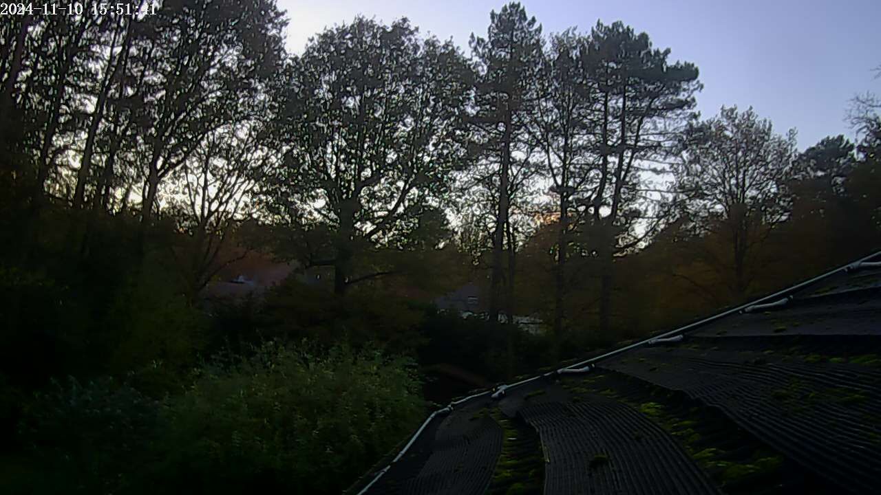 Zoersel › South-West: België