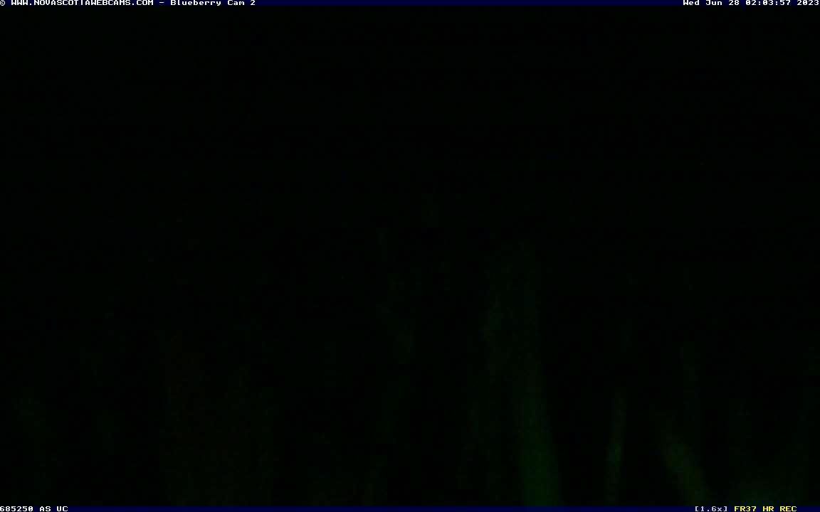 Debert › South-East: Wild Blueberry Cam 2