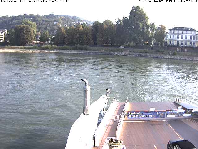 Webcam Linz am Rhein: Live from a car ferry