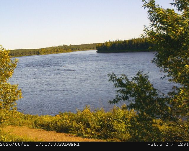 Badger › South-East: New Foundland - Labrador, Canadá