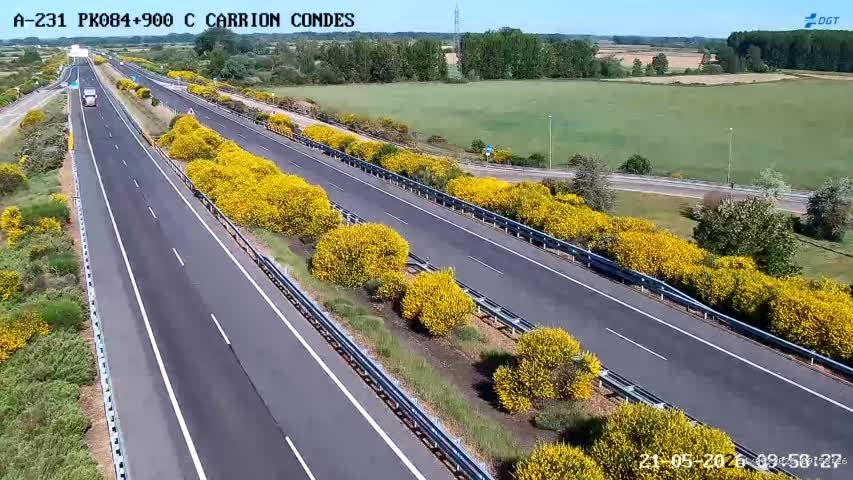 Carrion de los Condes