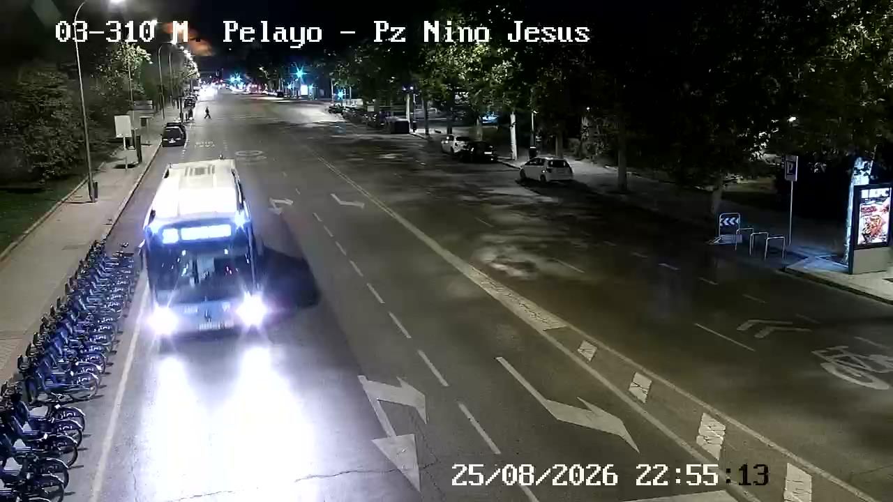 Jeronimos: MENENDEZ PELAYO - PLAZA NI�O JES�S