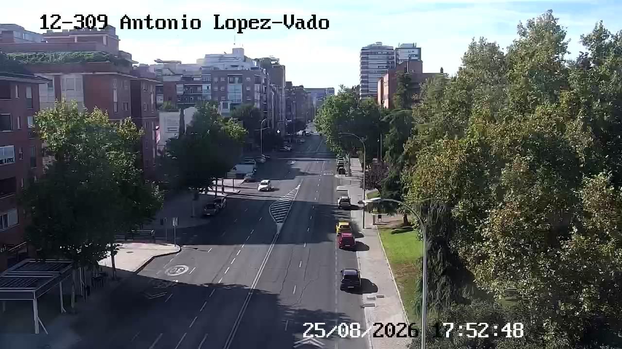 Almendrales: ANTONIO LOPEZ - VADO