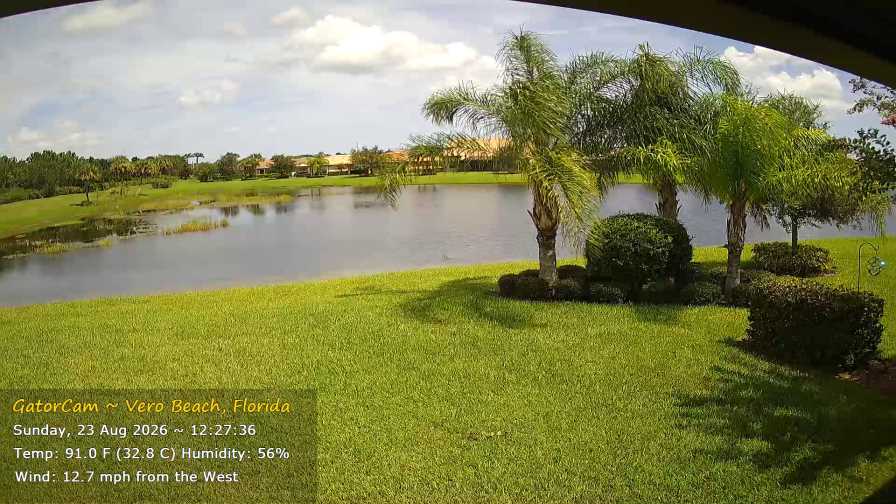 Webcam Vero Beach, Florida: GatorCam
