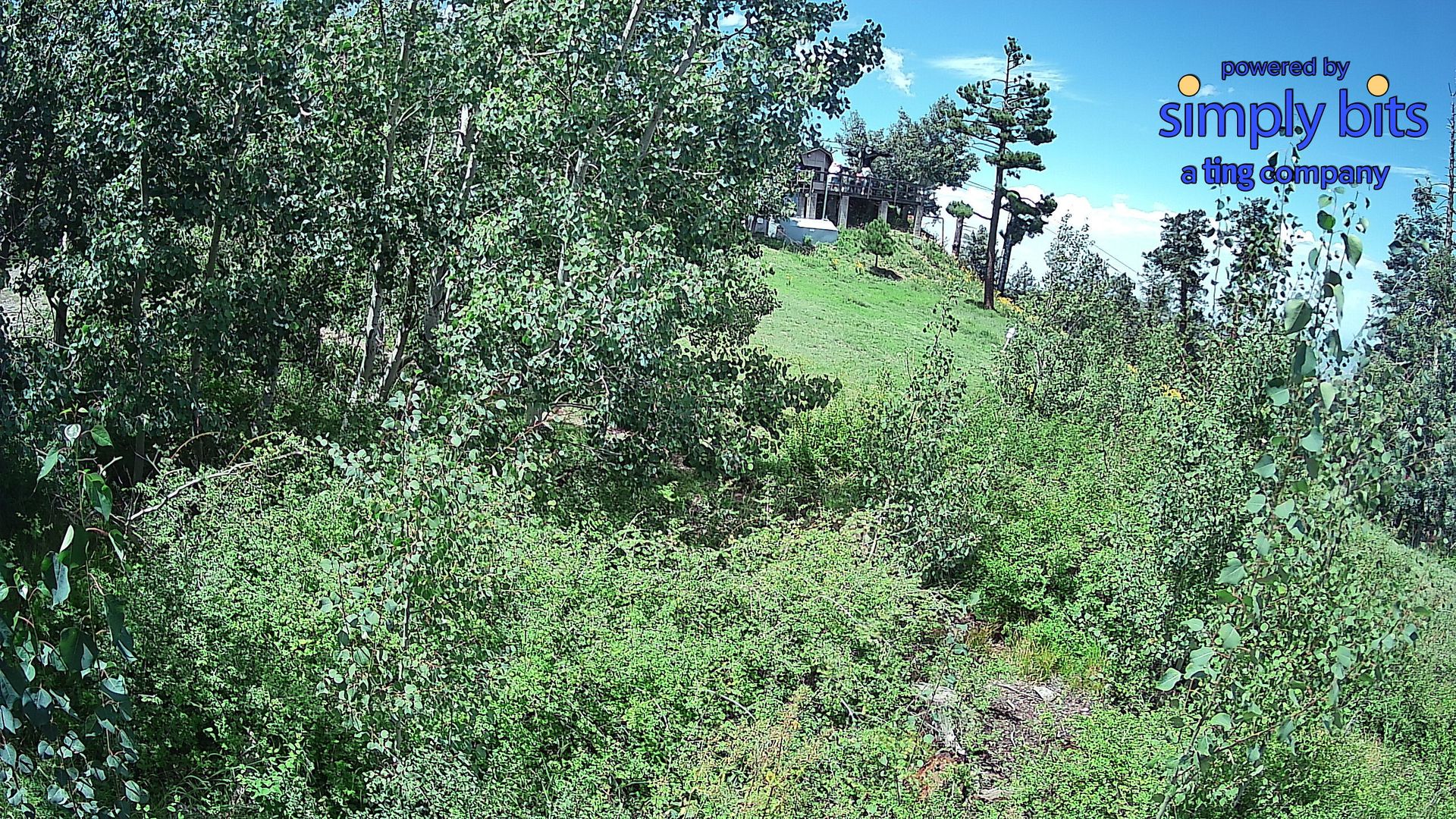 Pima County › North-East: Mt Lemmon Ski Valley
