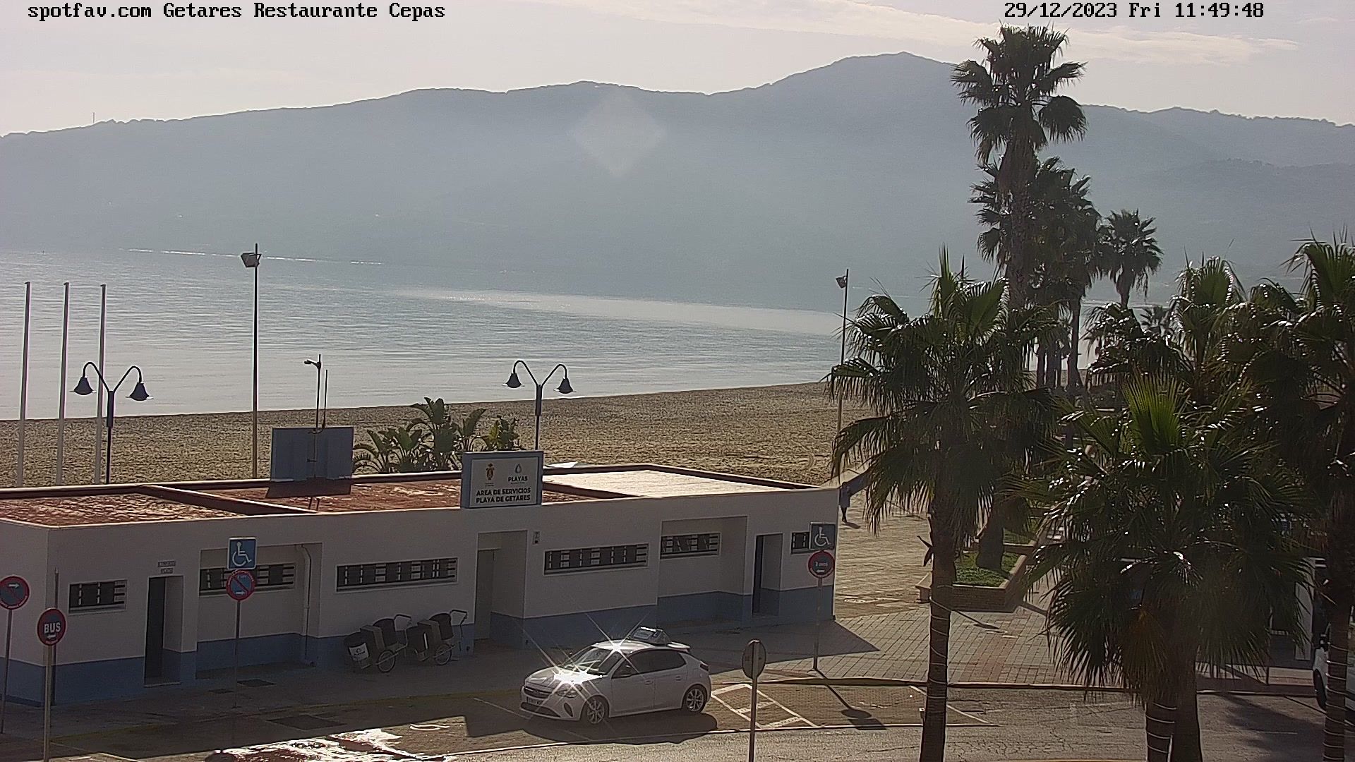 Algeciras