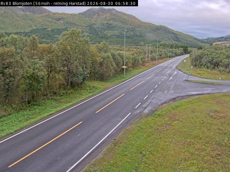Sorvik: R83 Blomjoten (Harstad)