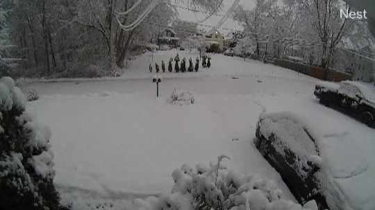 Attleboro › North