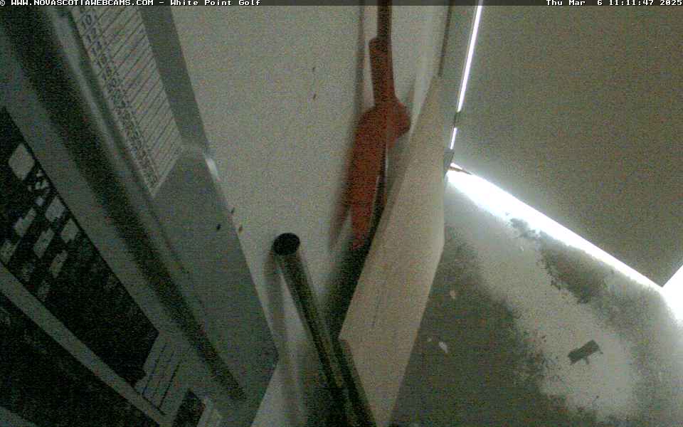 White Point - Webcam Galore