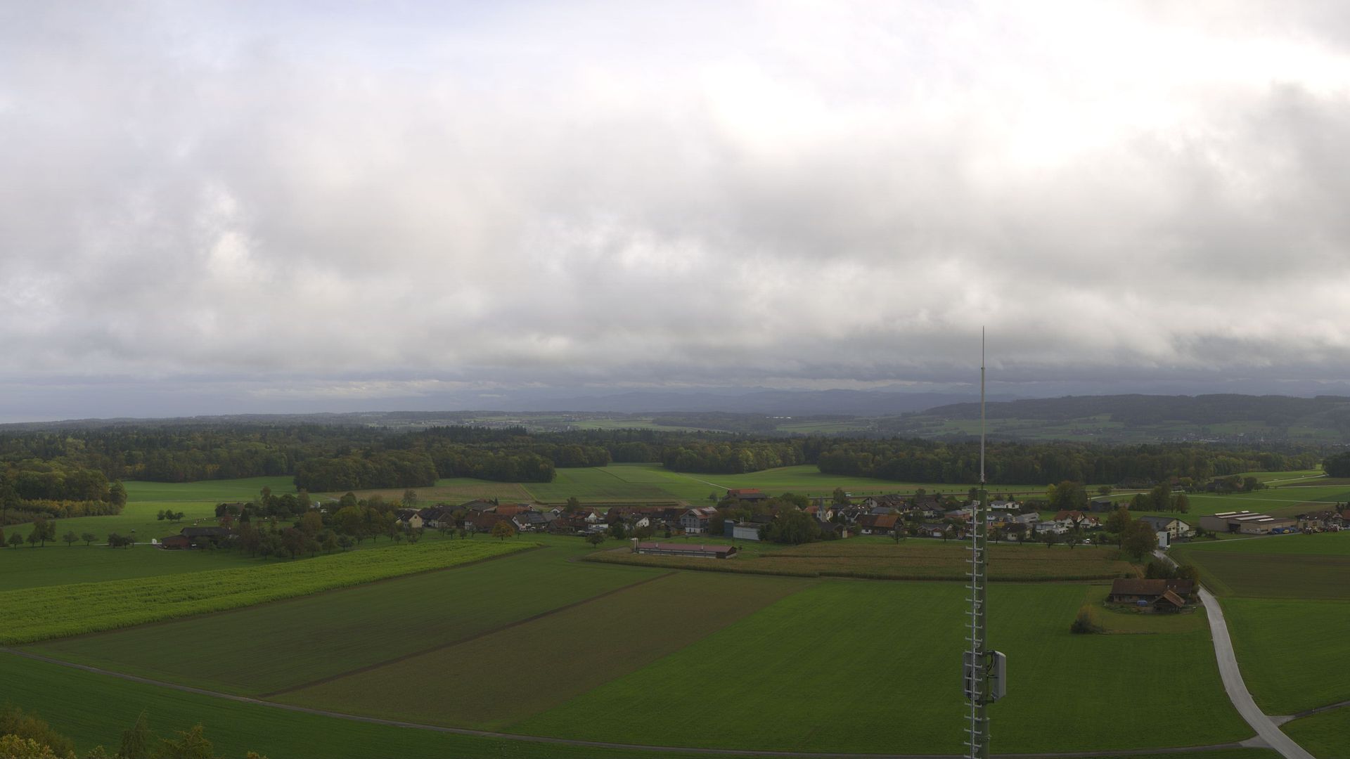 Waldi: Napoleonturm Hohenrain