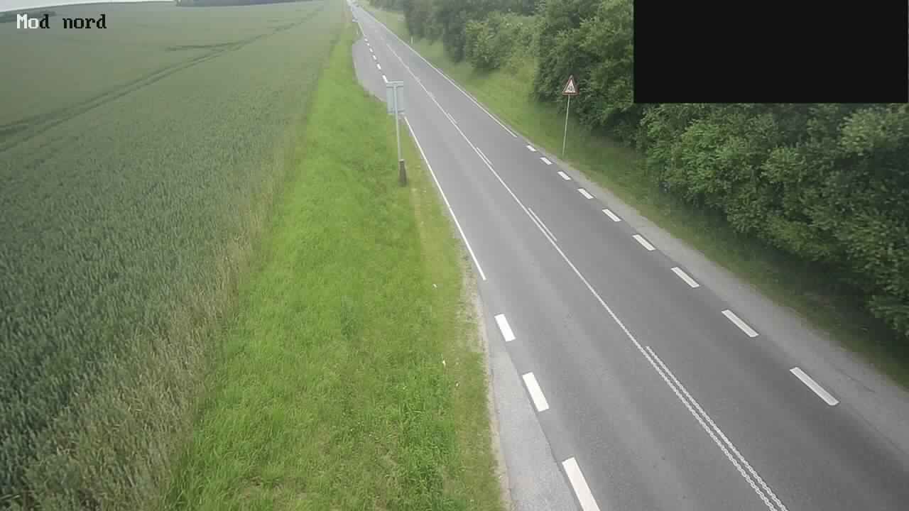 Gjerlev › North: Rute 507 - N