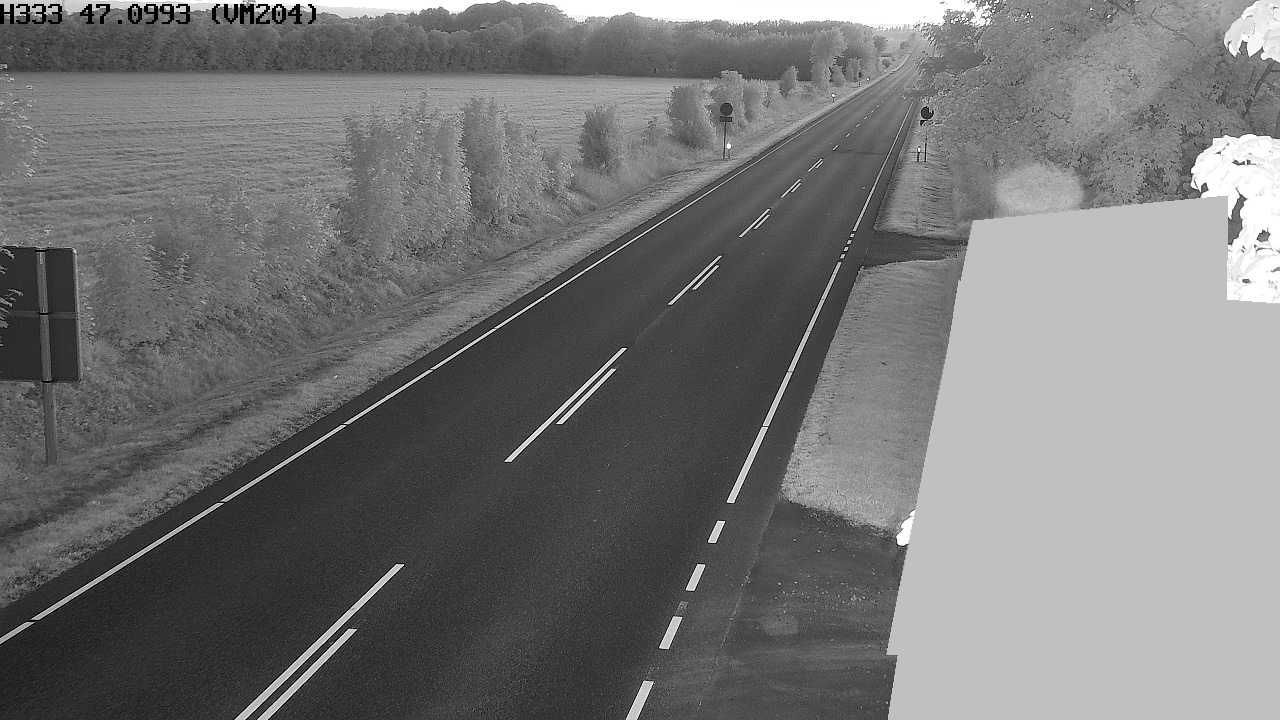 Hallum: Rute 11 Horne