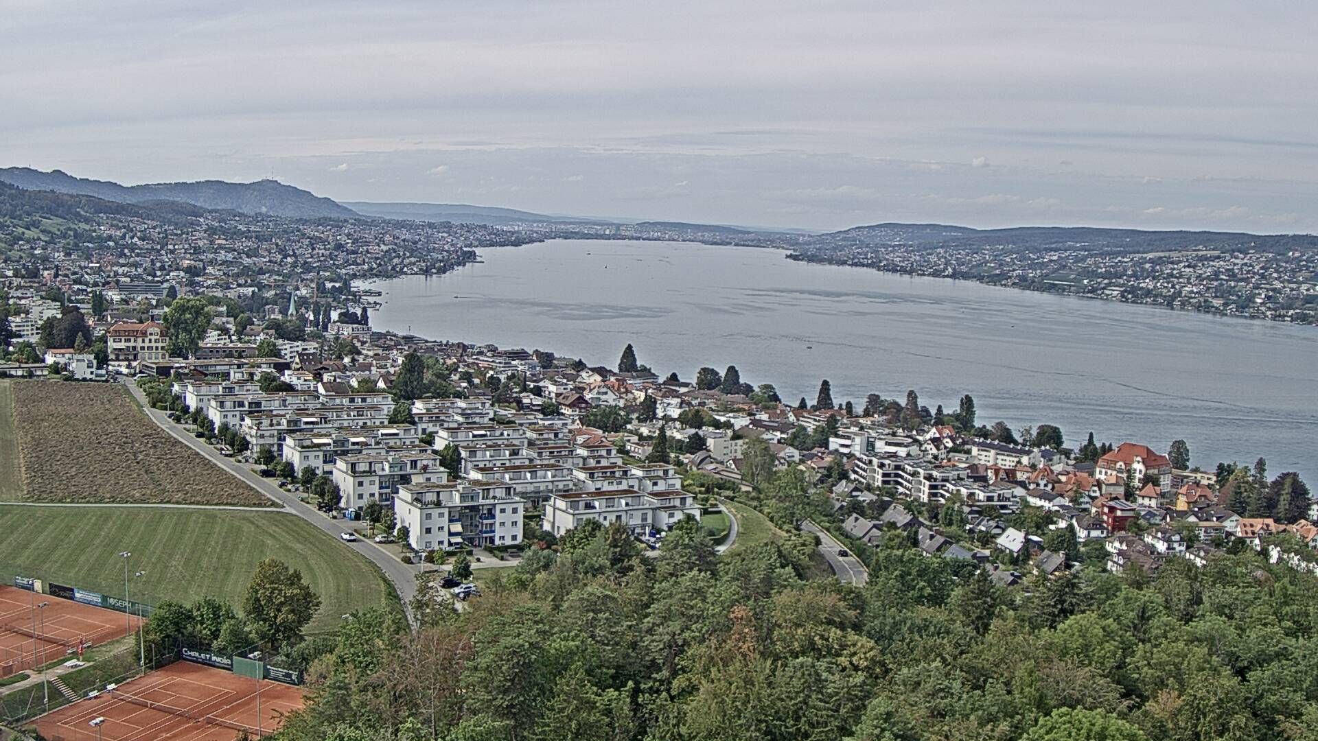 Horgen: Horgen, Reithy
